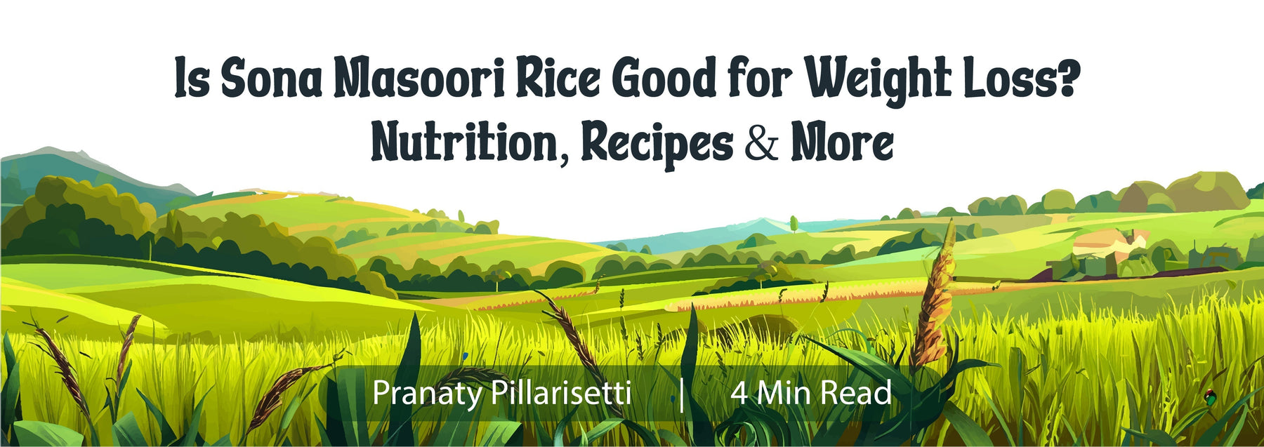 sona masoori rice