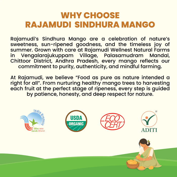Rajamudi Sindhura Mango and certification logos on a white background.