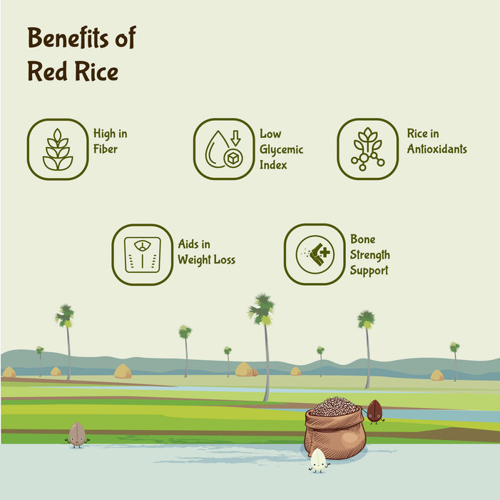 ORGANIC Kerala Red Rice [UnPolished] | Palakkad Matta Rice - Rajamudi Organics